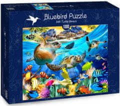 Blue Bird Puzzle Želví pláž