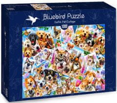 Blue Bird Puzzle Zvířecí selfie