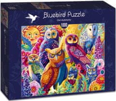 Blue Bird Puzzle Barevné sovy