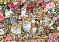 Falcon Puzzle Kočky v květinách