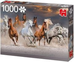 Jumbo Puzzle Stádo koní