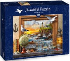 Blue Bird Puzzle Mořský život