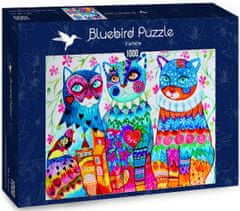 Blue Bird Puzzle Benátky