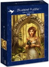 Blue Bird Puzzle Vrána