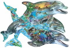 SunsOut Puzzle Zpěv delfínů - KONTURA PUZZLE