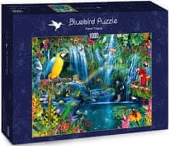 Blue Bird Puzzle Tropičtí papoušci