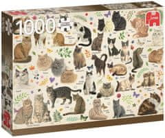 Jumbo Puzzle Plakát s kočkami