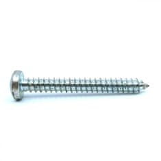 Šroub do plechu DIN 7981C zn 4,2x13 mm 300 ks