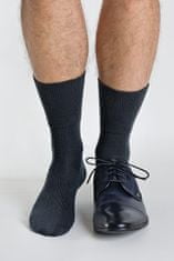 Gemini Pánské ponožky Regina Socks Frote Bambus šedá 43-46