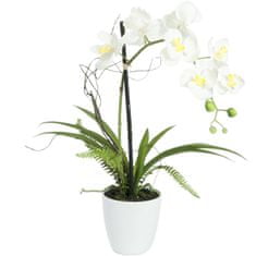 Europalms Orchidej bílá v dekoračním květináči, 62 cm