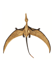 Safari Ltd. Safari Ramphorhynchus