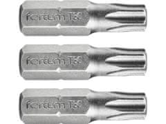 Fortum Hrot TORX, sada 3ks, T 30x25mm, S2