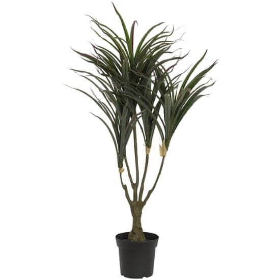 Europalms Dracena zeleno-červená, 90 cm