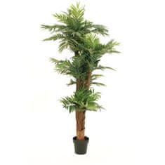 Europalms Palma Areca, 170cm