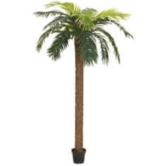 Europalms Phoenix palma deluxe, 250 cm