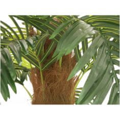 Europalms Phoenix palma deluxe, 300 cm