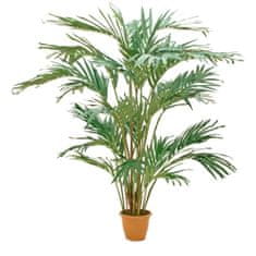 Europalms Kanárský datlovník, 240cm