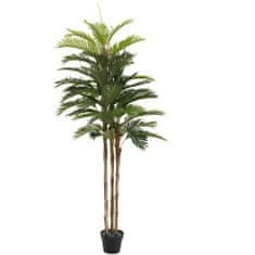 Europalms Kentia palma, 150cm