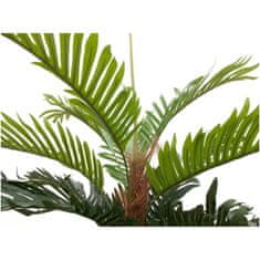 Europalms Kentia palma, 150cm