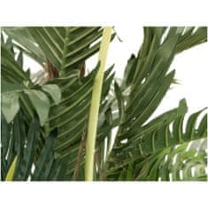 Europalms Kentia palma, 180cm