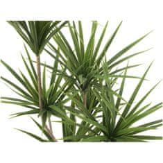 Europalms Palma Yucca, 130cm