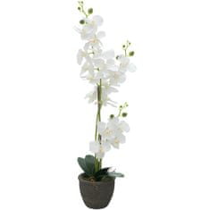 Europalms Orchidej s bílými květy, 80 cm