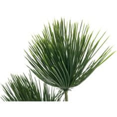 Europalms Papyrus palma, 100cm