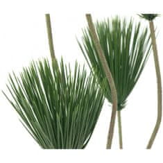 Europalms Papyrus palma, 130 cm