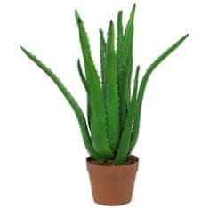 Europalms Aloe vera, 63 cm