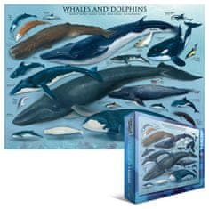 EuroGraphics Puzzle Velryby a delfíni