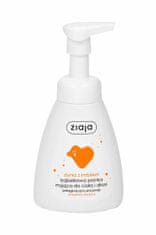 Kraftika 250ml ziaja pumpkin with ginger hands & body foam wash