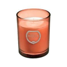 Maison Berger Paris Vonná svíčka Olymp měděná Intenzivní třpyt Exquisite Sparkle (Candle) 180 g