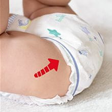 Pampers Night Pants