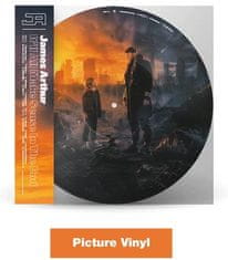 Arthur James: It'll All Make Sense In The End (Picture vinyl) (2x LP)