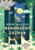 Vallejo Irene: Nekonečný zázrak / Jak člověk stvořil knihy a jak knihy utvářejí člověka