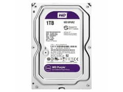 Western Digital Pevný disk - HDD 1TB (3,5")