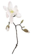 Shishi Bílá magnolie s poupaty 50cm