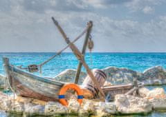 Blue Bird Puzzle Costa Maya