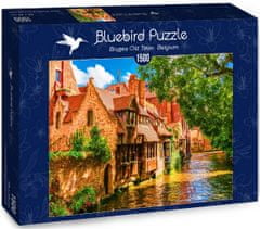 Blue Bird Puzzle Bruges, Belgie