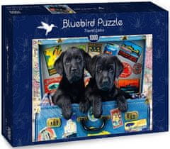 Blue Bird Puzzle Černí labradoři