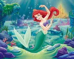 Puzzle Ariel - PUZZLE s 3D efektem