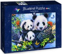 Blue Bird Puzzle Pandí rodin