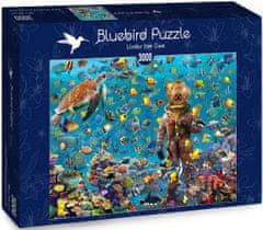 Blue Bird Puzzle Pod vodou