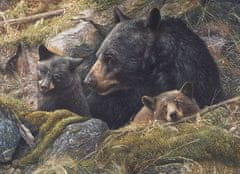 Cobble Hill Puzzle Medvědí rodinka