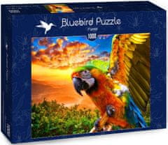 Blue Bird Puzzle Papoušek Ara