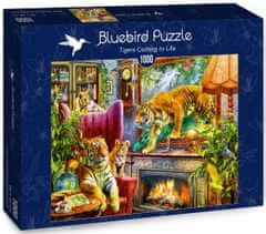 Blue Bird Puzzle Živý obraz - tygři