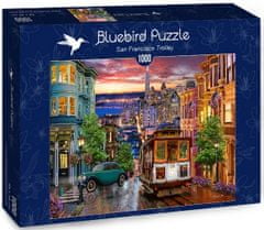 Blue Bird Puzzle San Francisco