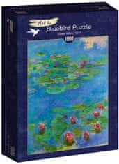 Blue Bird Puzzle Lekníny