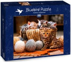 Blue Bird Puzzle Koťátka v košíku