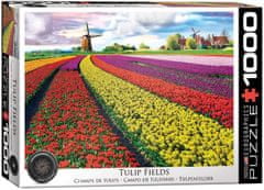 EuroGraphics Puzzle Tulipánové pole